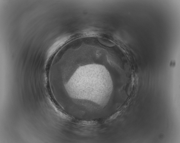 X0000112090245200908111401