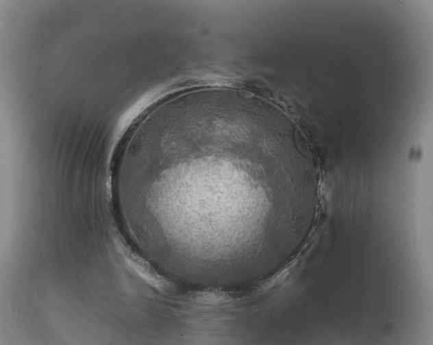 X0000112090246200908111401