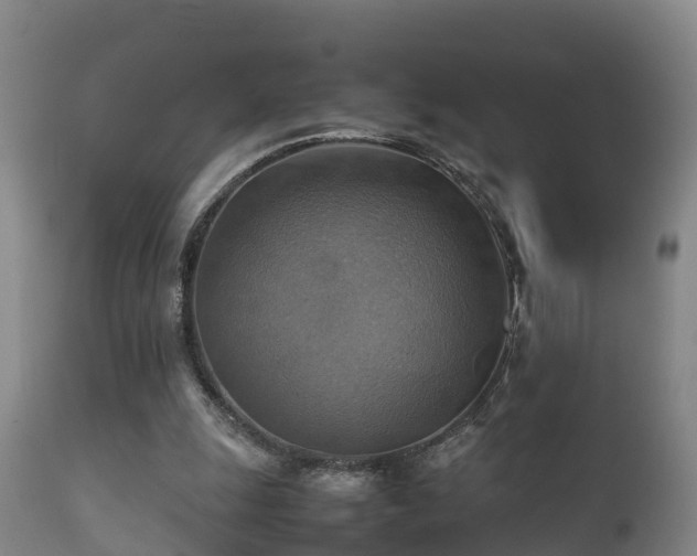 X0000112090247200908111401