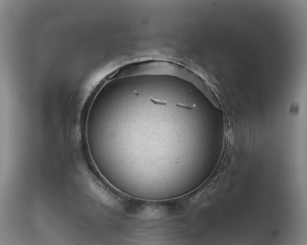 X0000112090248200908111401