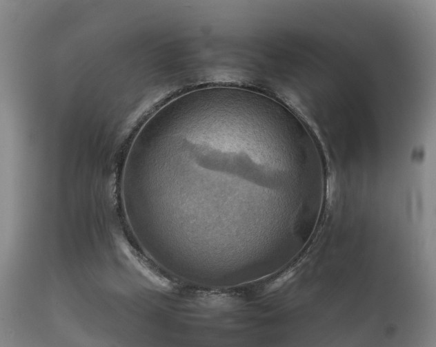 X0000112090249200908111401