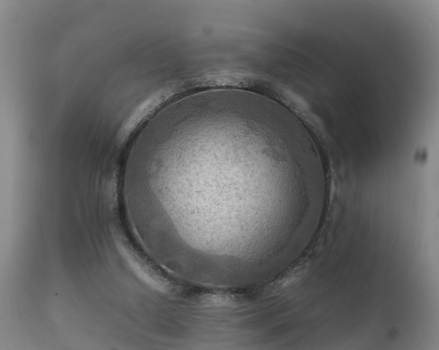 X0000112090250200908111401