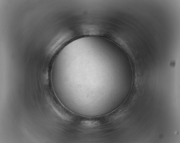 X0000112090251200908111401