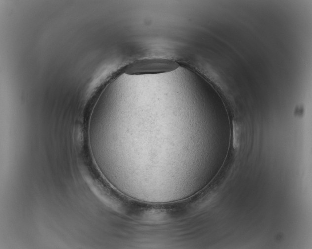 X0000112090252200908111401