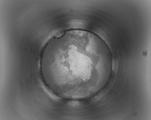 X0000112090253200908111401