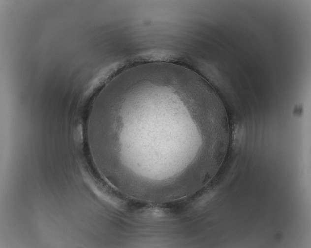 X0000112090254200908111401