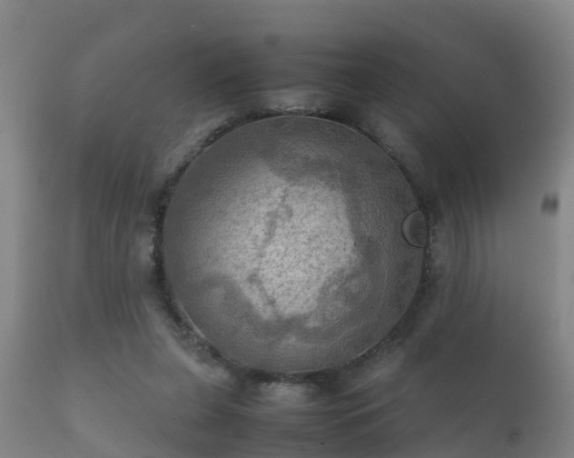 X0000112090255200908111401