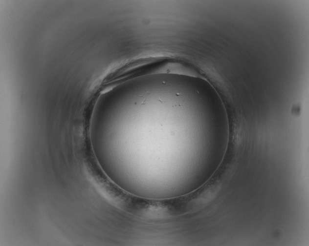 X0000112090256200908111401