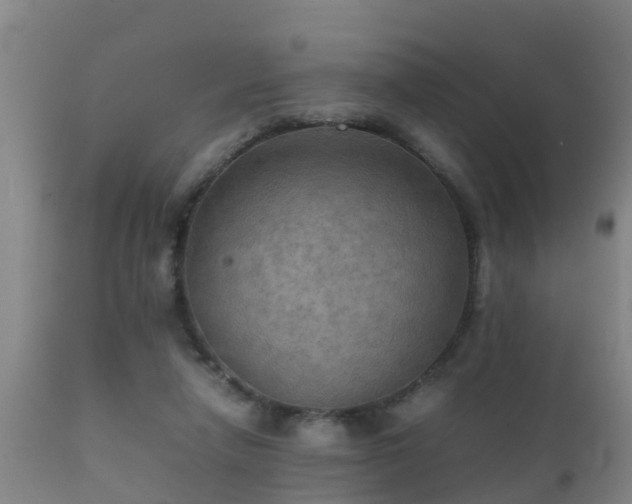 X0000112090258200908111401