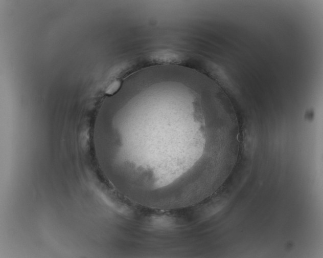 X0000112090259200908111401