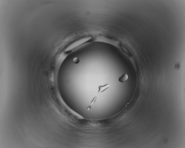 X0000112090260200908111401