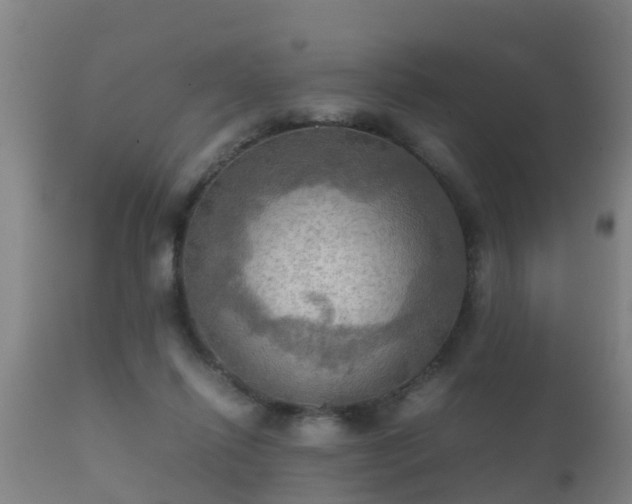 X0000112090262200908111401