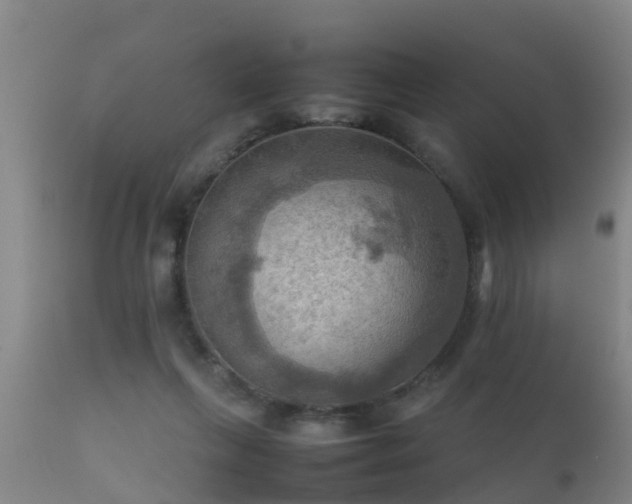 X0000112090263200908111401