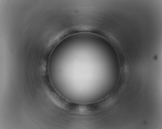 X0000112090264200908111401