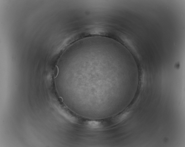 X0000112090265200908111401