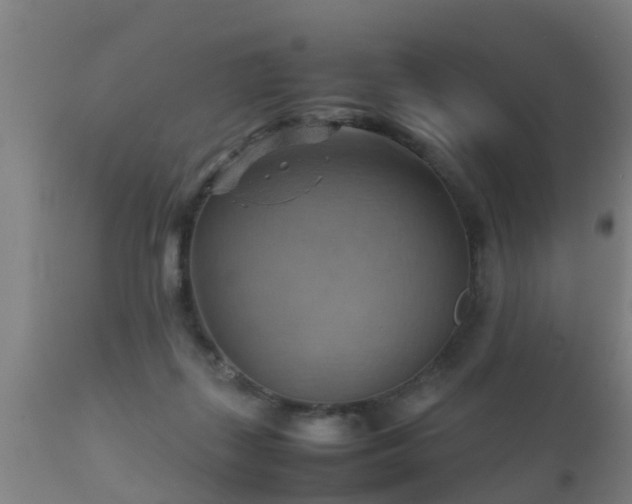 X0000112090267200908111401