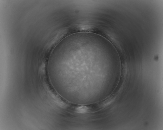 X0000112090269200908111401