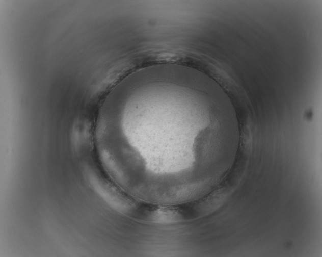 X0000112090270200908111401