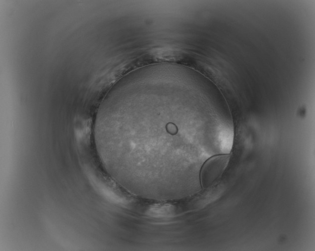 X0000112090271200908111401