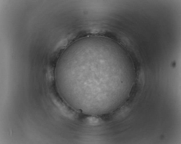 X0000112090272200908111401