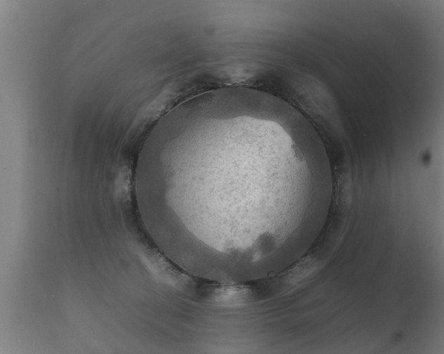 X0000112090274200908111401