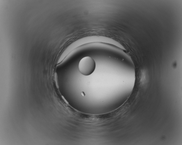 X0000112090276200908111401