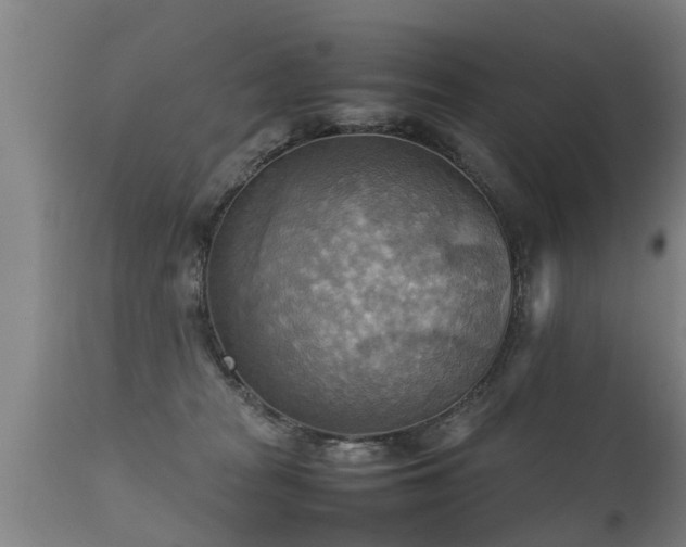 X0000112090277200908111401