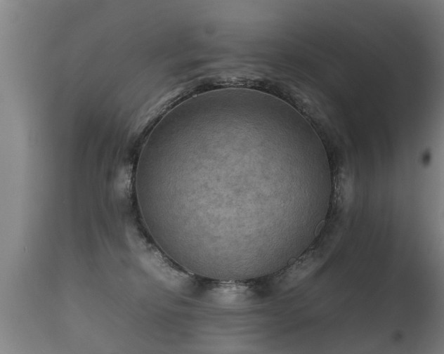 X0000112090278200908111401