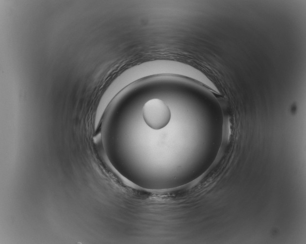 X0000112090280200908111401