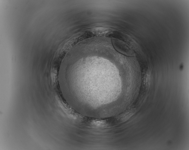 X0000112090283200908111401