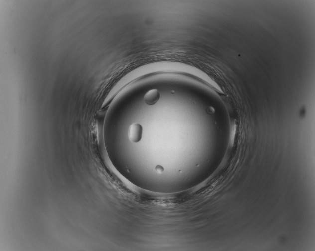 X0000112090284200908111401