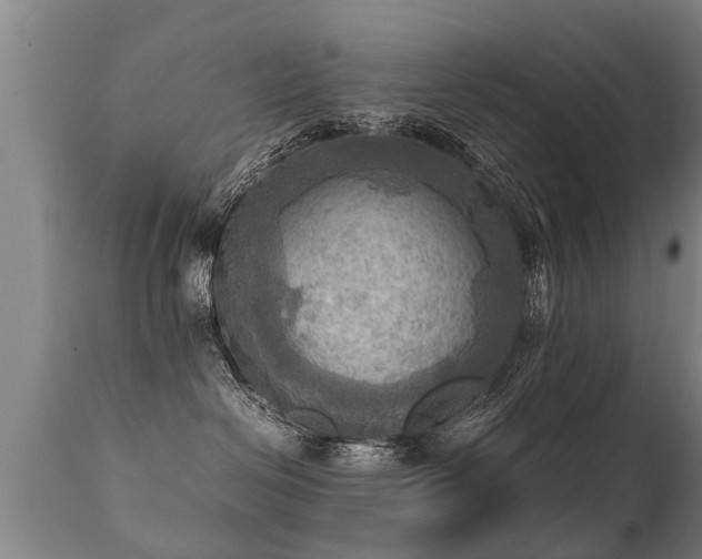 X0000112090286200908111401