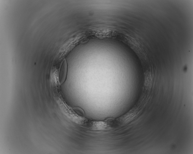 X0000112090287200908111401