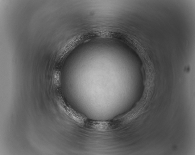 X0000112090288200908111401