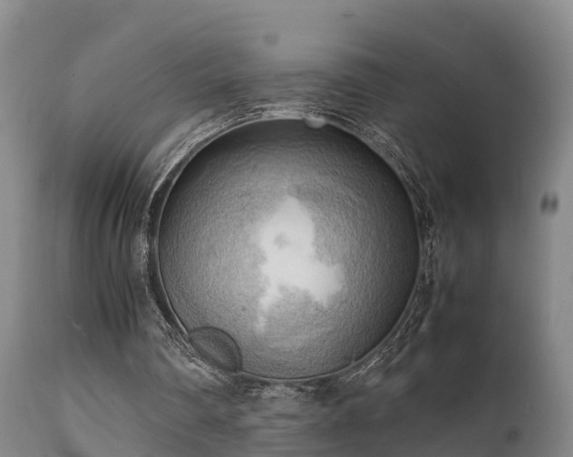 X0000112090290200908111400