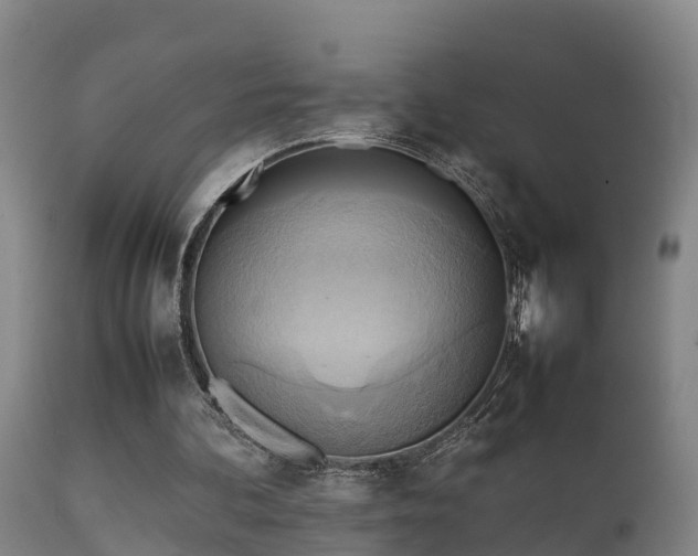 X0000112090292200908111400