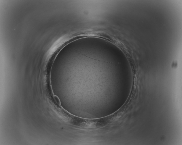 X0000112090295200908111400