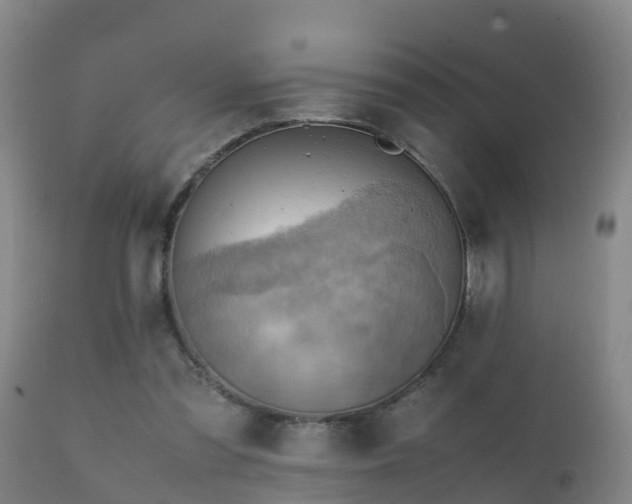 X0000112090301200908111400