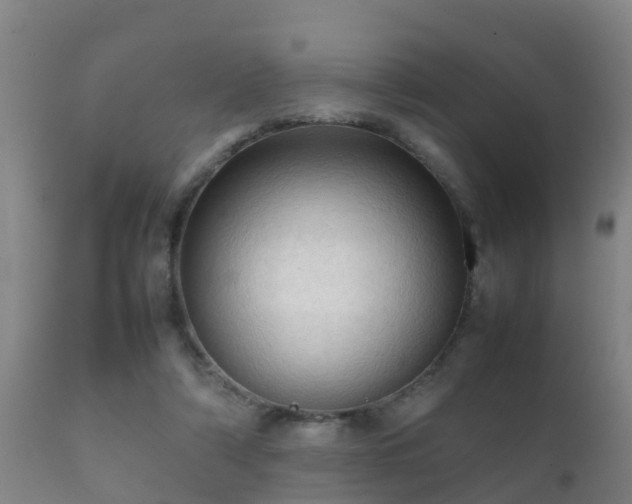 X0000112090306200908111400