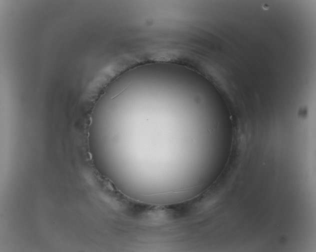 X0000112090307200908111400