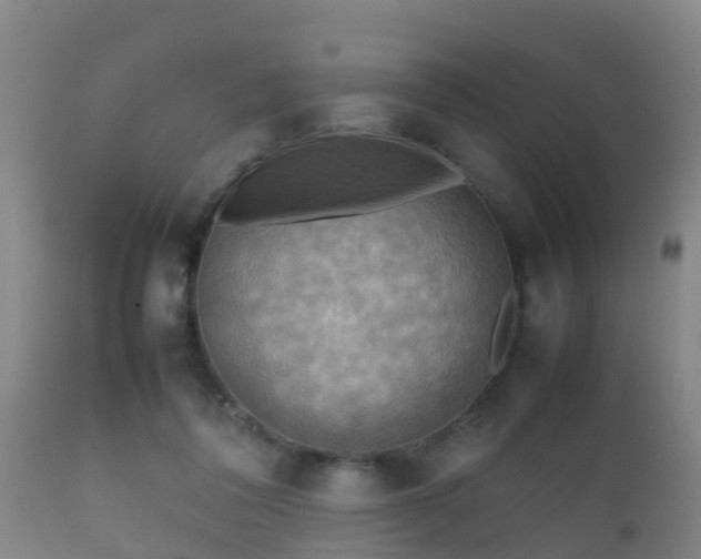 X0000112090308200908111400