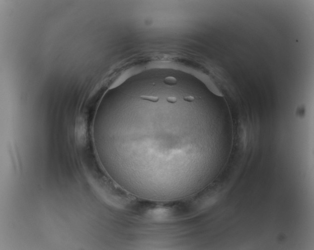 X0000112090312200908111400