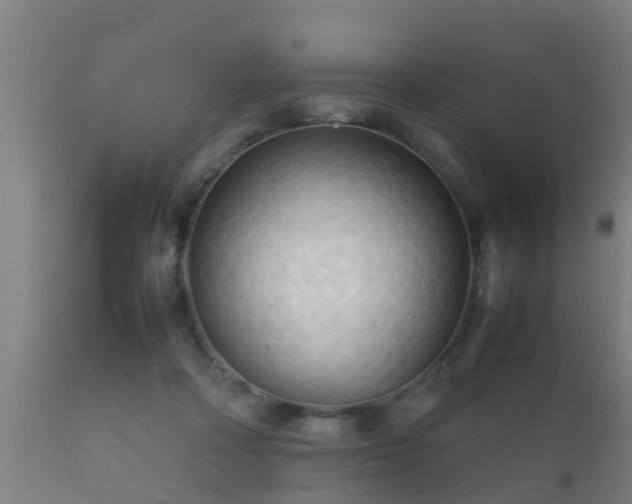 X0000112090314200908111400