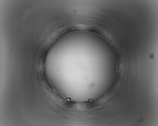 X0000112090317200908111400