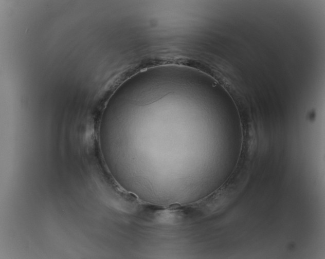 X0000112090320200908111400