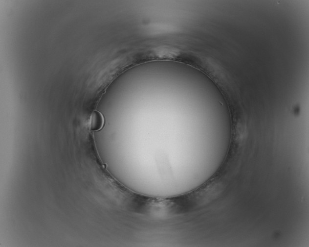 X0000112090321200908111400