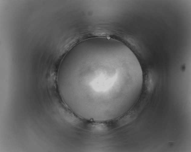 X0000112090322200908111400