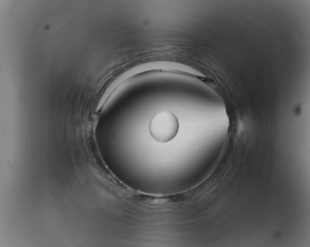 X0000112090324200908111400