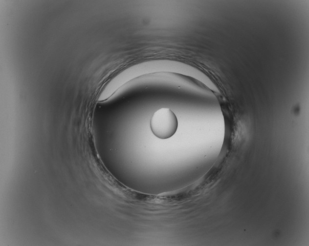 X0000112090325200908111400