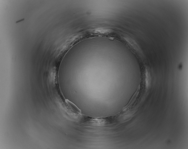 X0000112090328200908111400